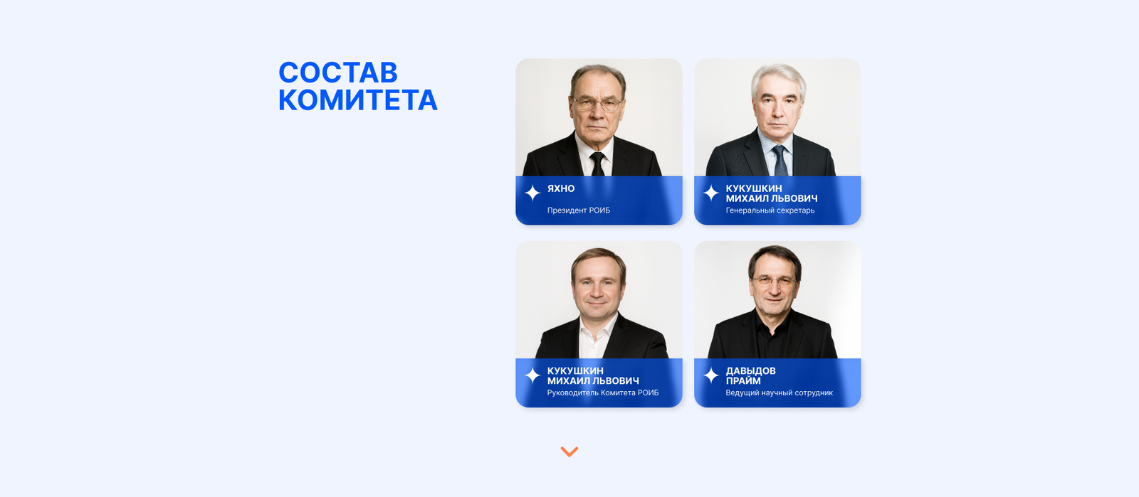 Дизайн сайта для РОИБ — изображение 6