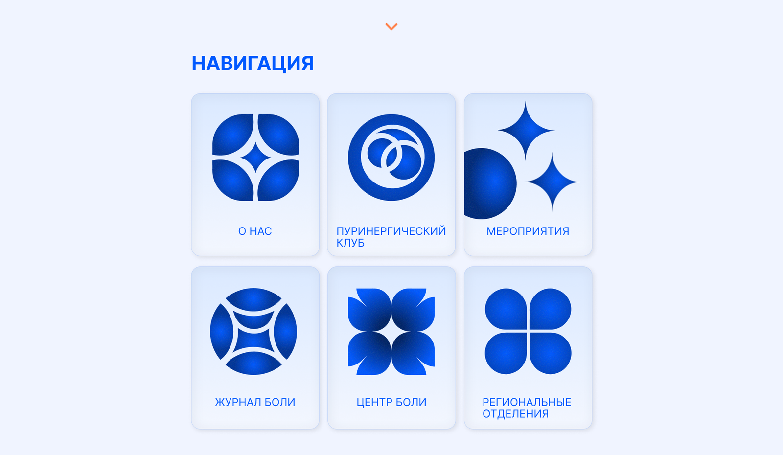 Дизайн сайта для РОИБ — изображение 4