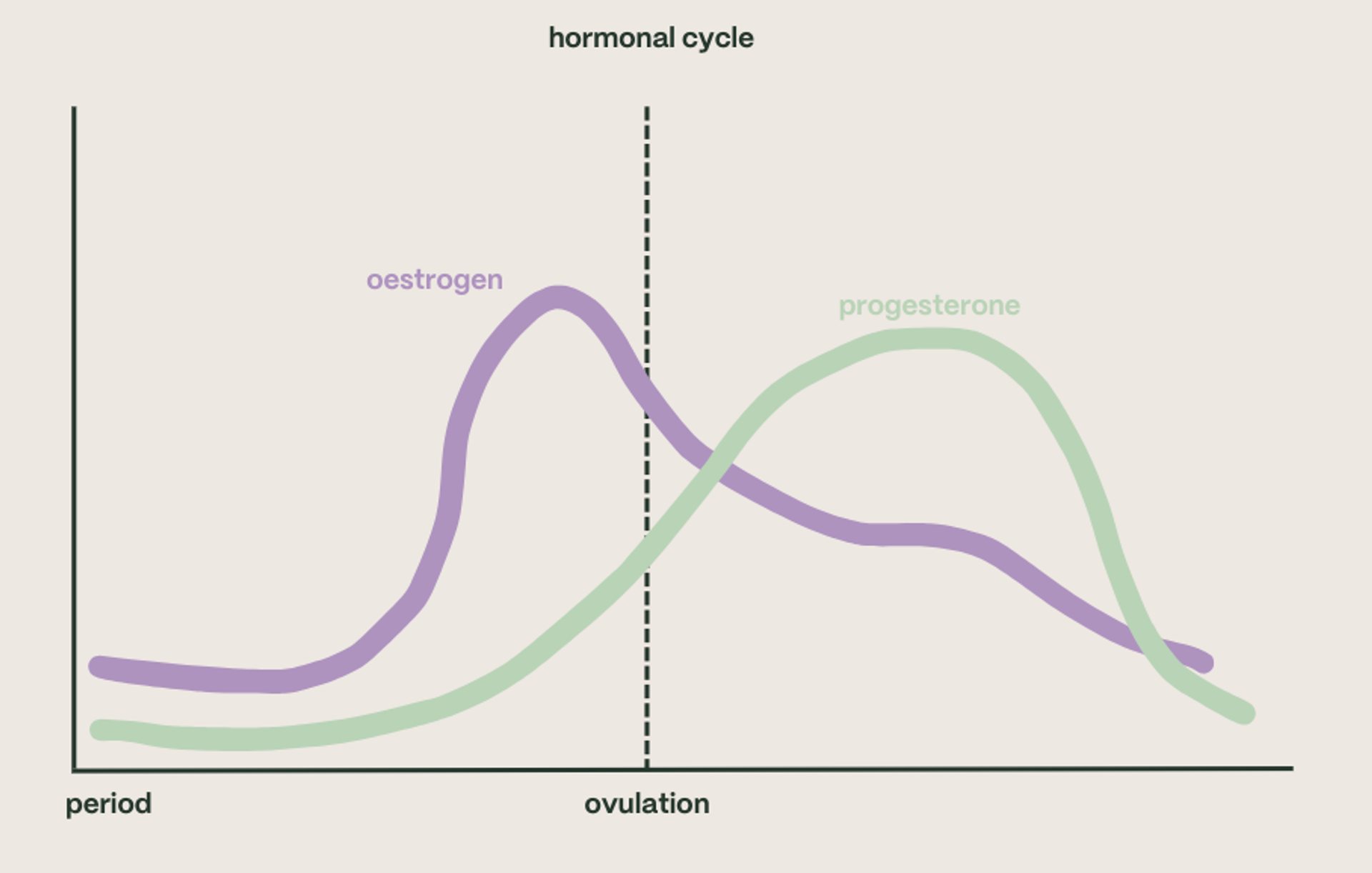 hormonal cycle chart