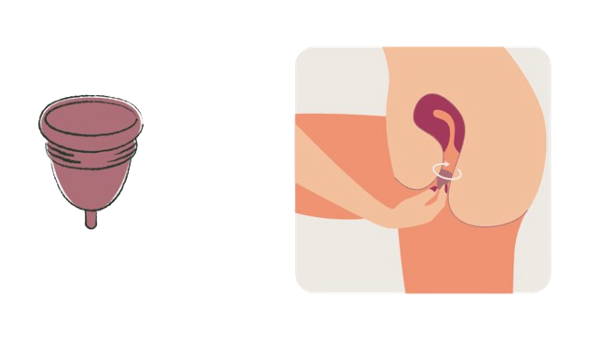 menstrual cup and application