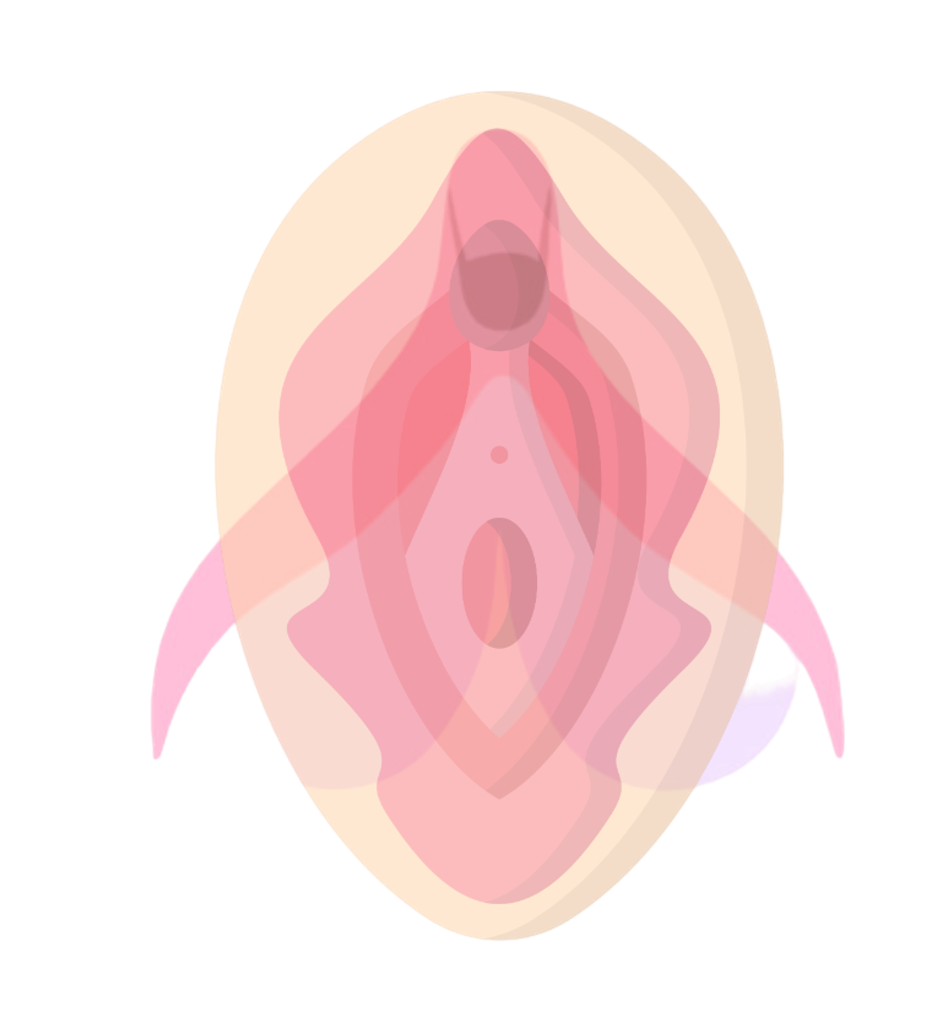 vulva + clitoris