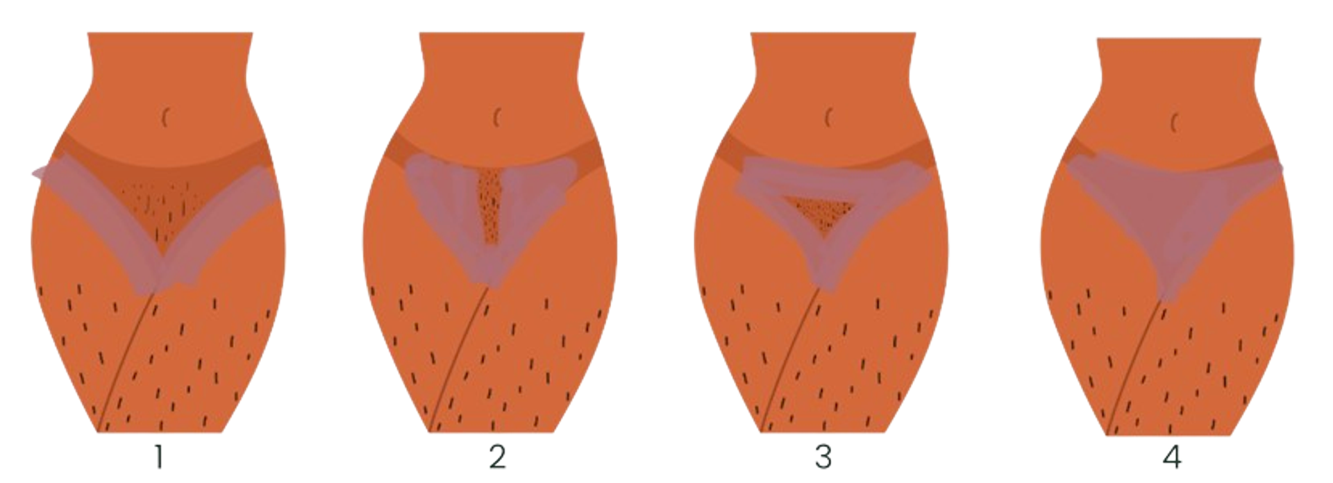 wax styles