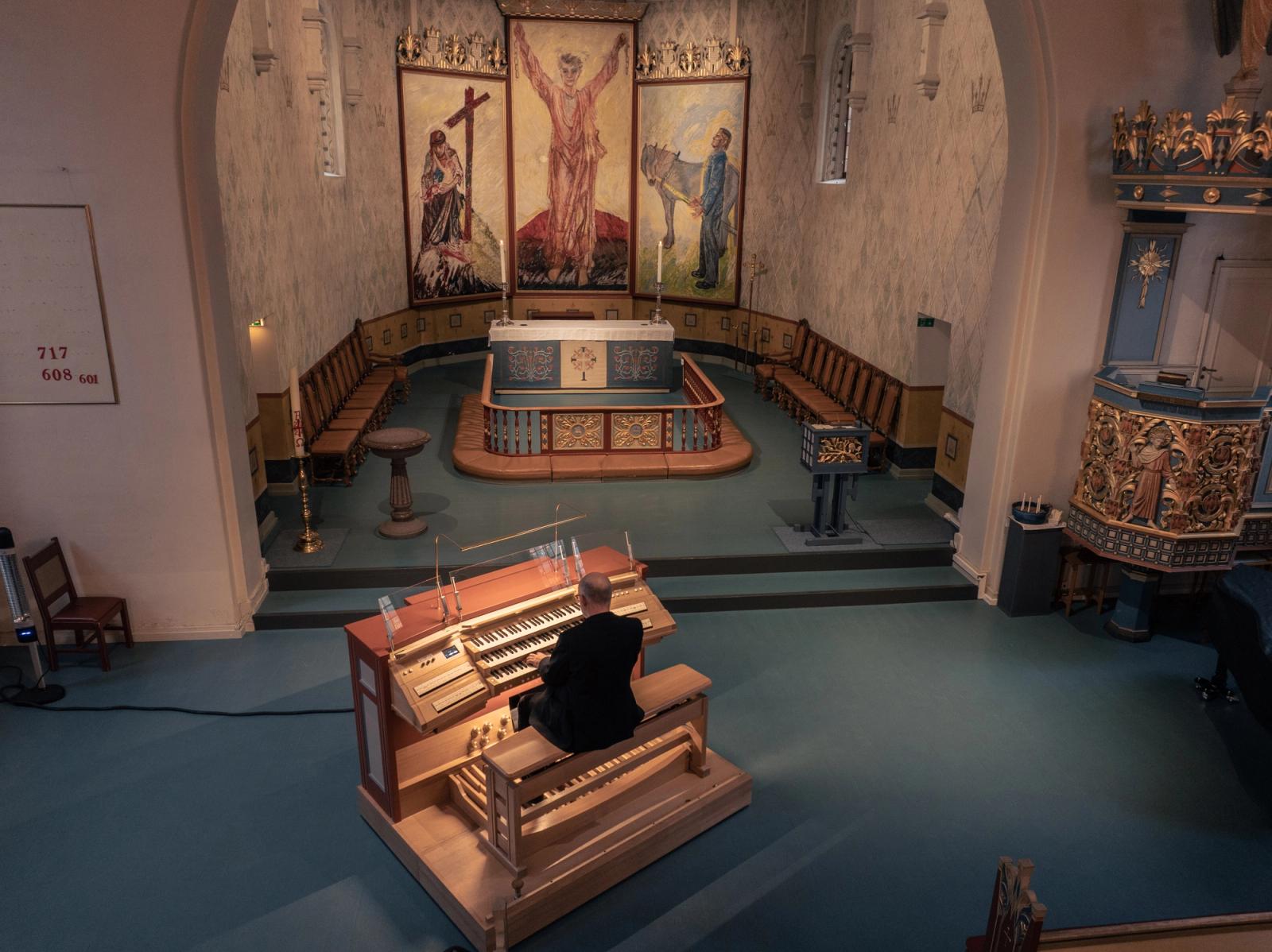 Hamar Domkirke organist