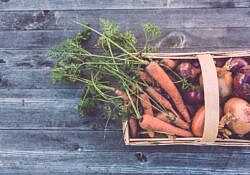 Carrots and onions in brown wicker basket