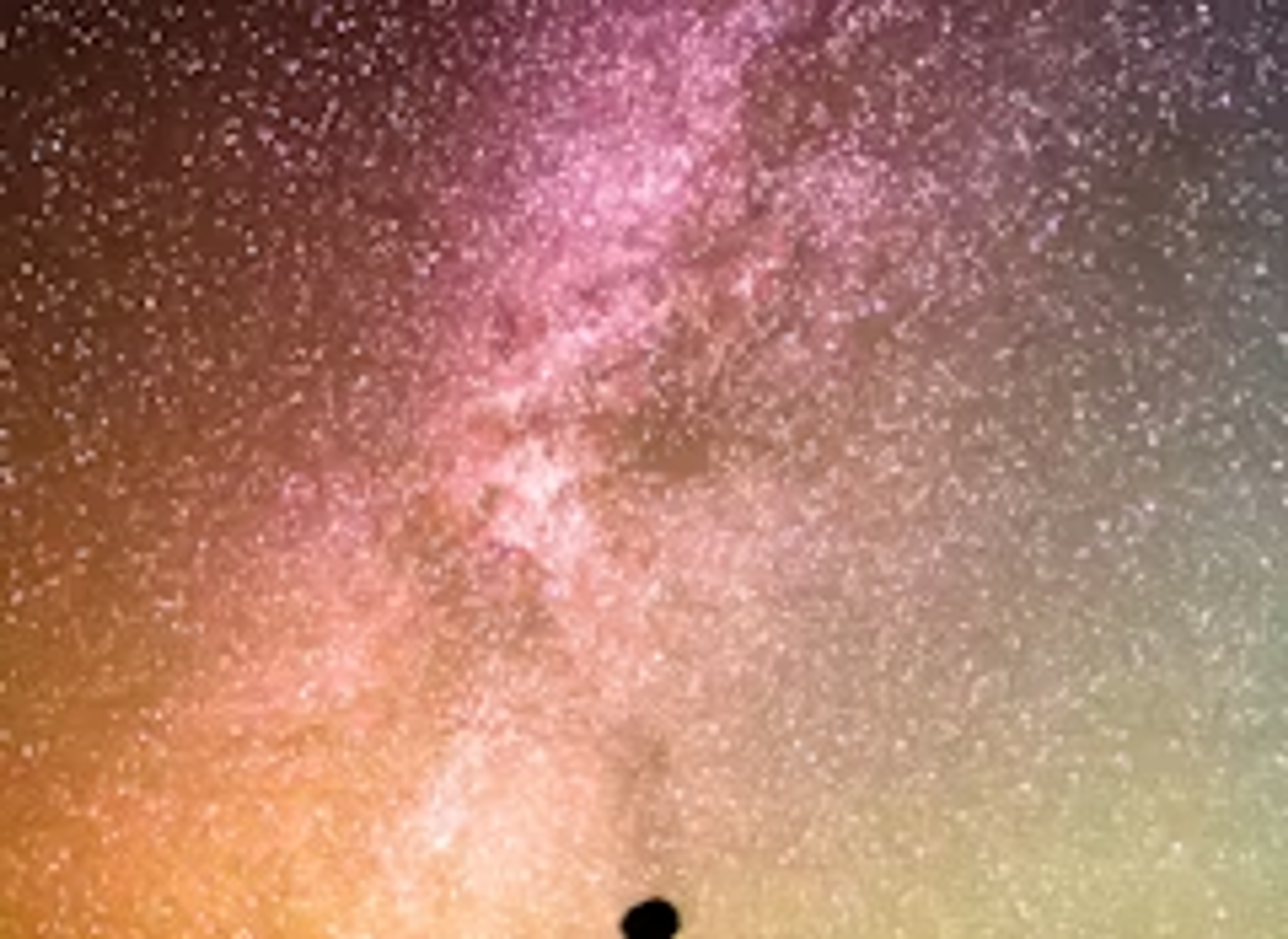 star gaze