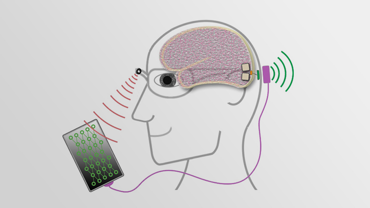 Phosphoenix Raises €1.3M for Vision Neuroprosthesis