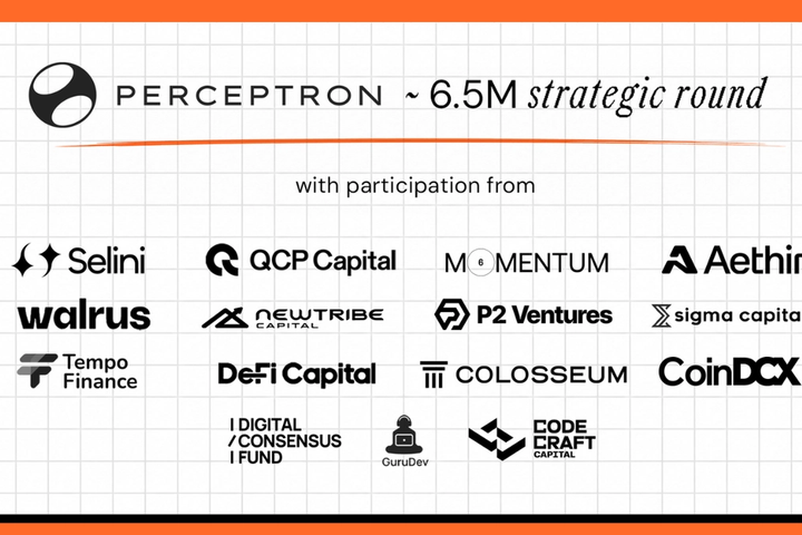 Perceptron Raises $6.5M for AI Data Network