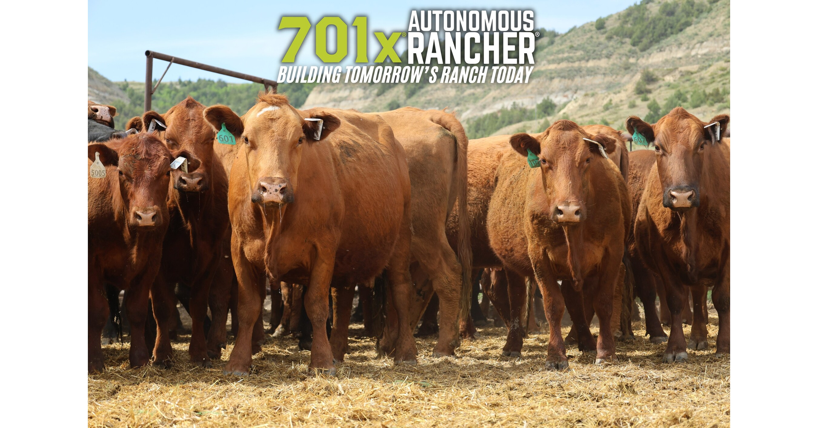 701x raises $10M for connected cattle intelligence