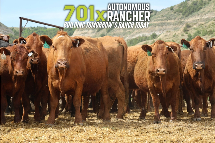 701x raises $10M for connected cattle intelligence