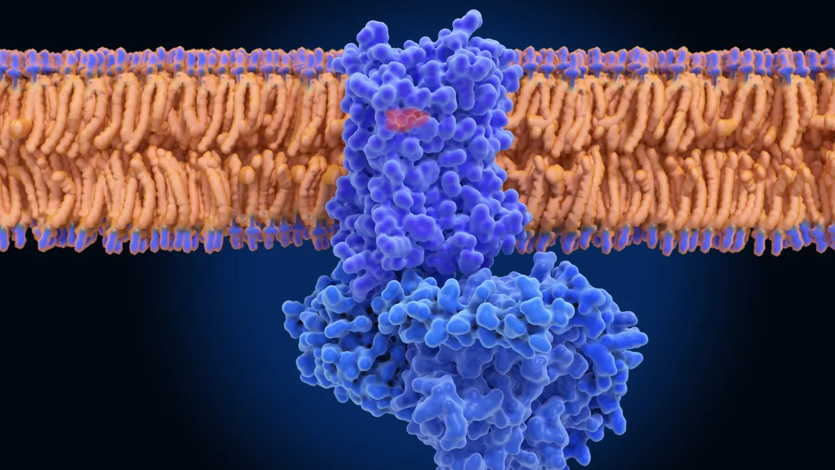 Superluminal Raises $60M for Obesity Drugs