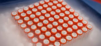 Microbiotica Raises £36M for Microbiome Medicine