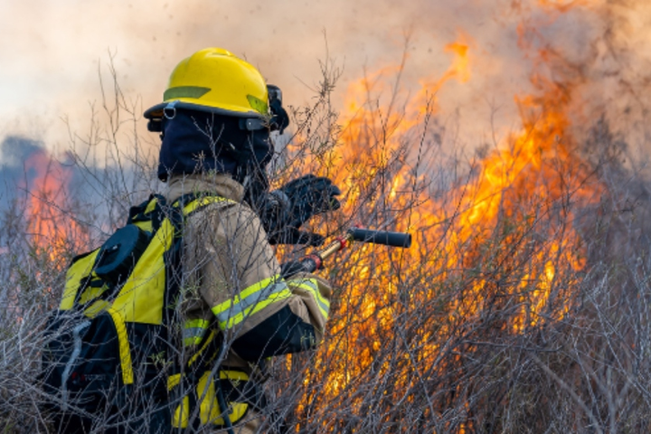 Prime Minute Raises $15M for Wildfire Response