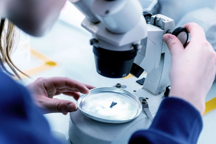 Innovafeed secures €51M for sustainable insect-based ingredients