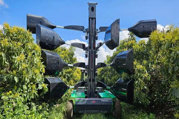 BloomX Raises $13M for Robotic Pollination