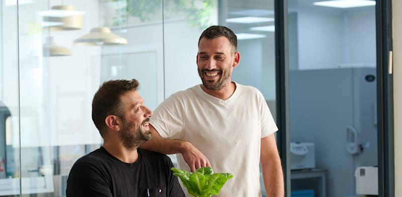 Plantopia raises $9M for oat-grown casein
