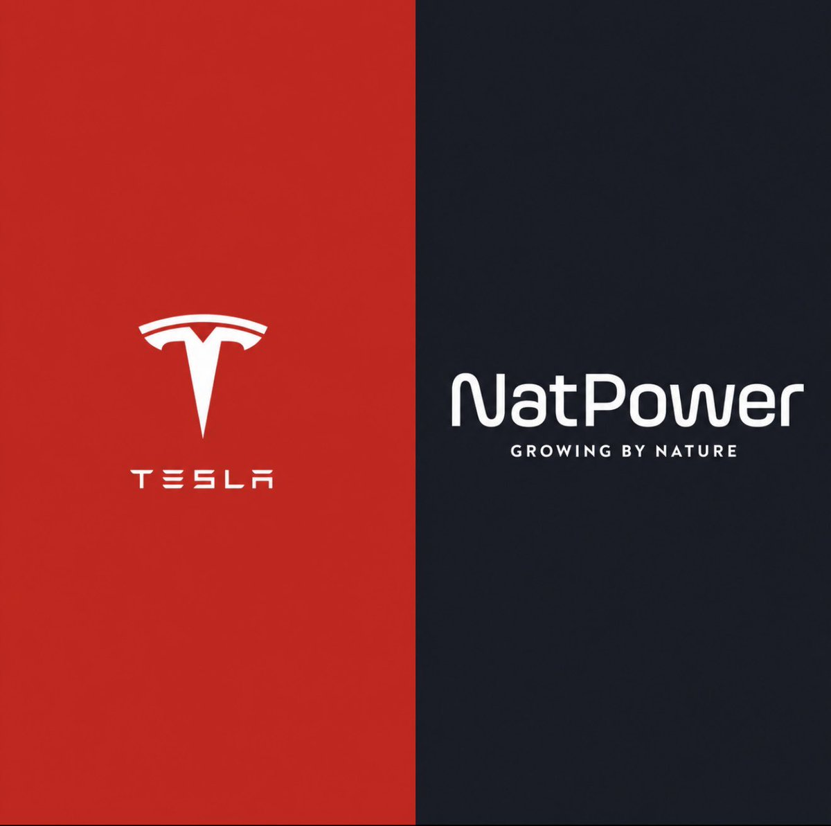 NatPower and Tesla launch $5B battery storage plan