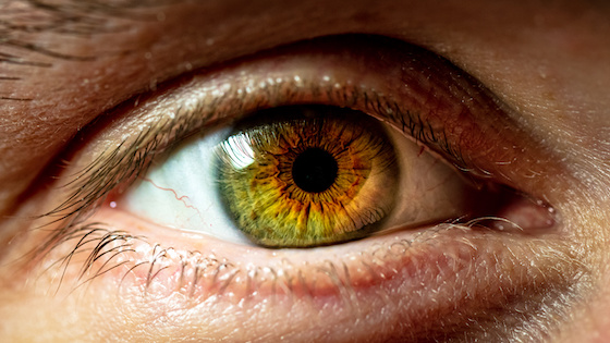 Ollin raises $330M for eye-disease trials