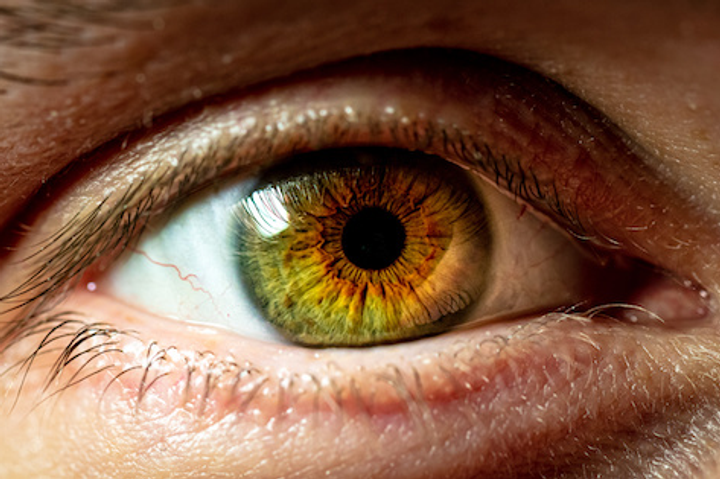 Ollin raises $330M for eye-disease trials