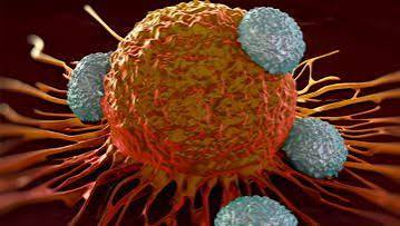 Tikva raises $8M for off-the-shelf cancer therapy