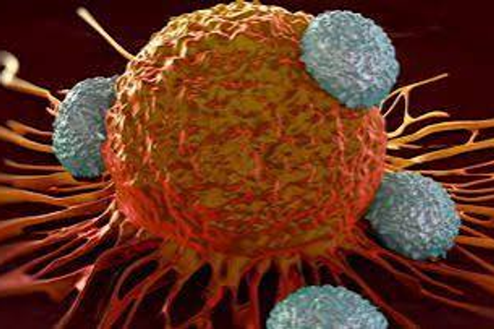 Tikva raises $8M for off-the-shelf cancer therapy