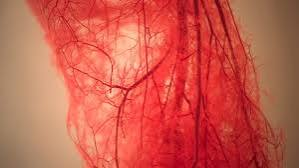 RougeTx Launches With $58M for Rare Vascular Disease
