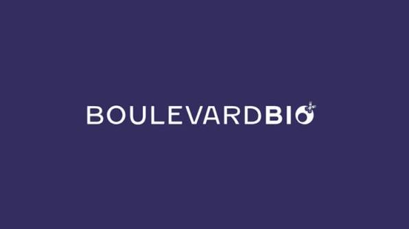 Boulevard Bio Raises $65M for Immunology