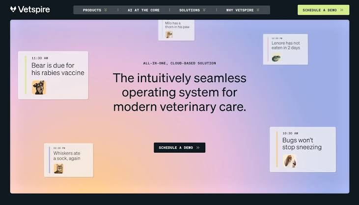 Vetspire Gets Battery Growth Investment
