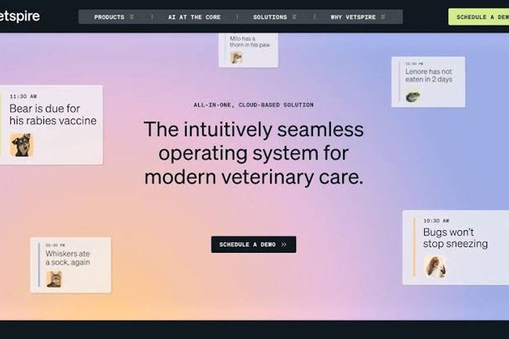 Vetspire Gets Battery Growth Investment