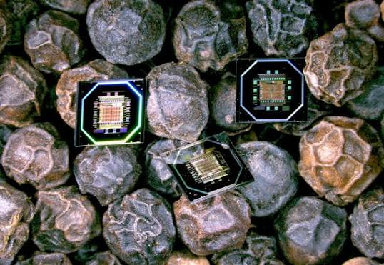 MintNeuro Raises €4.4M for Neural-Device Chips