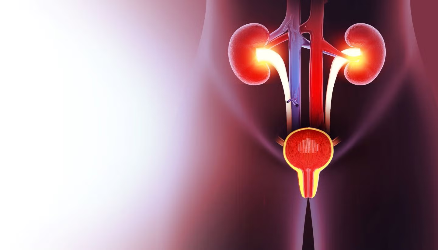 MaxQ Raises $31.5M for Prostate Care