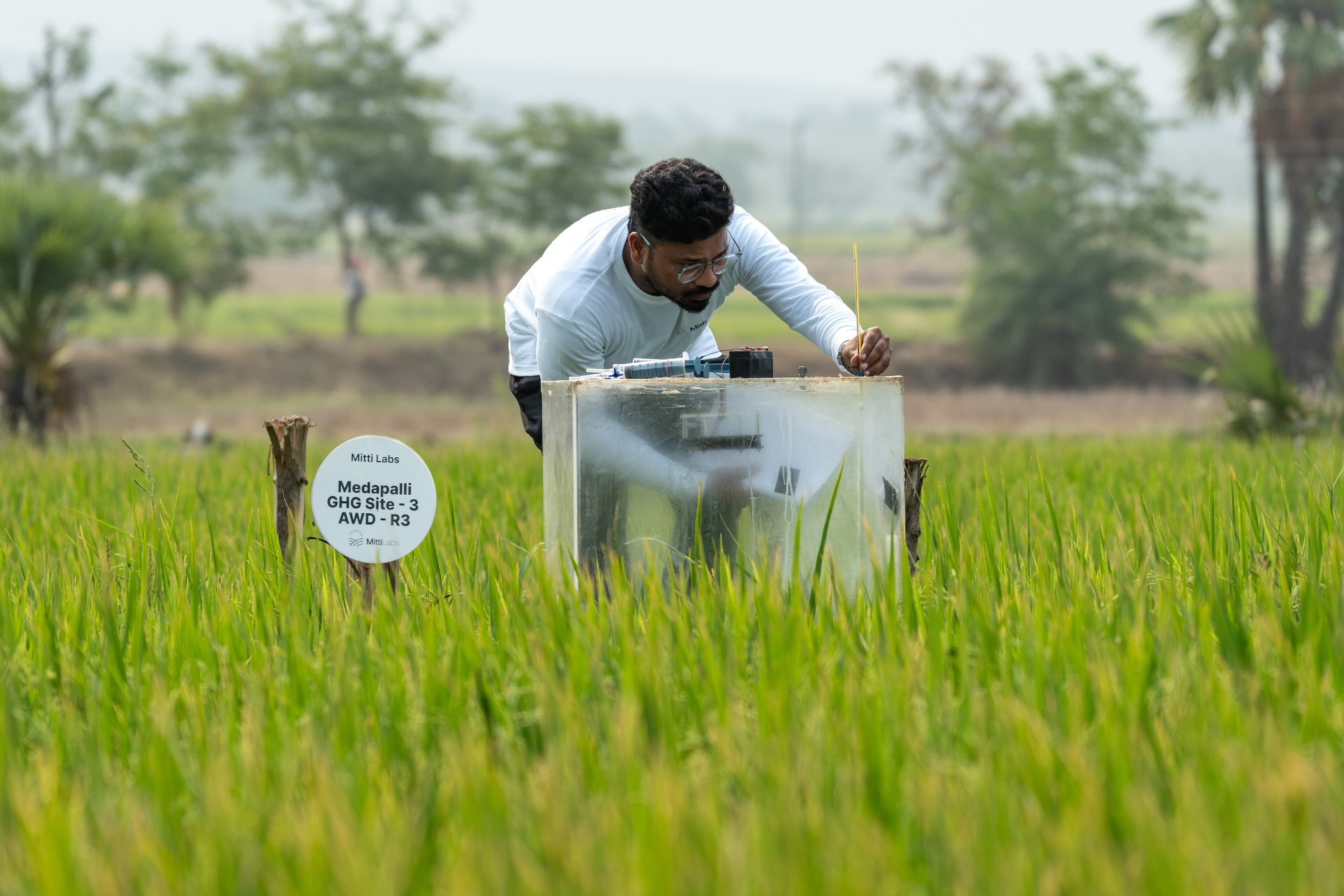Google signs 1M-credit methane deal with Mitti Labs