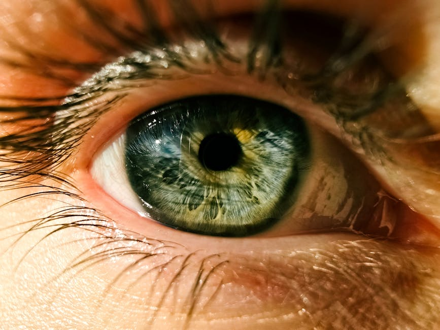 Claris Bio Raises $118M for a Drug Alternative to Corneal Surgery