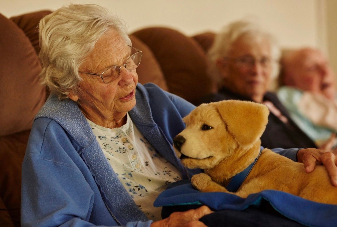 Tombot raises $7M for robotic companions