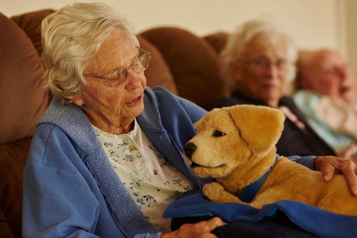 Tombot raises $7M for robotic companions