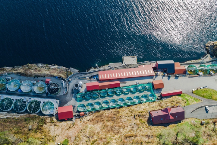 Nernst raises €1.7M for on-site oxygen