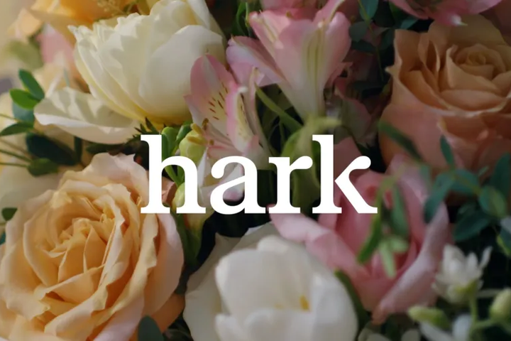 Hark Previews Browser-Use Agent