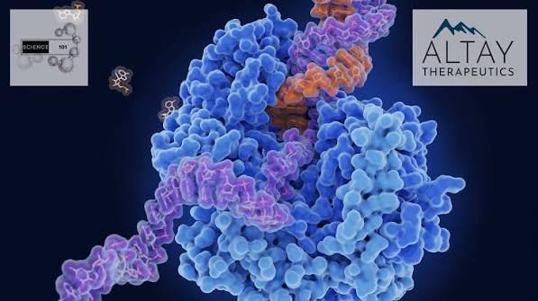 Altay Raises $37M for Oral Muscular Dystrophy Drug