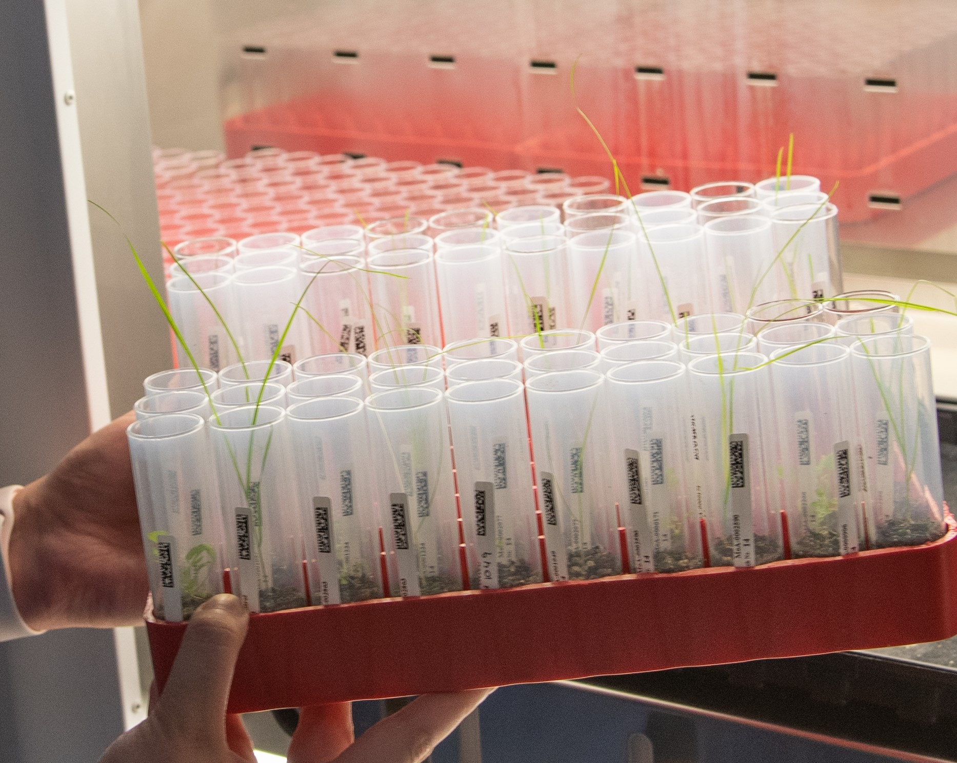 Moa raises £22.2M for resistance-breaking herbicides