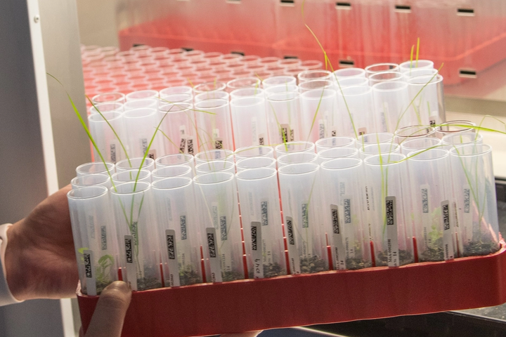 Moa raises £22.2M for resistance-breaking herbicides