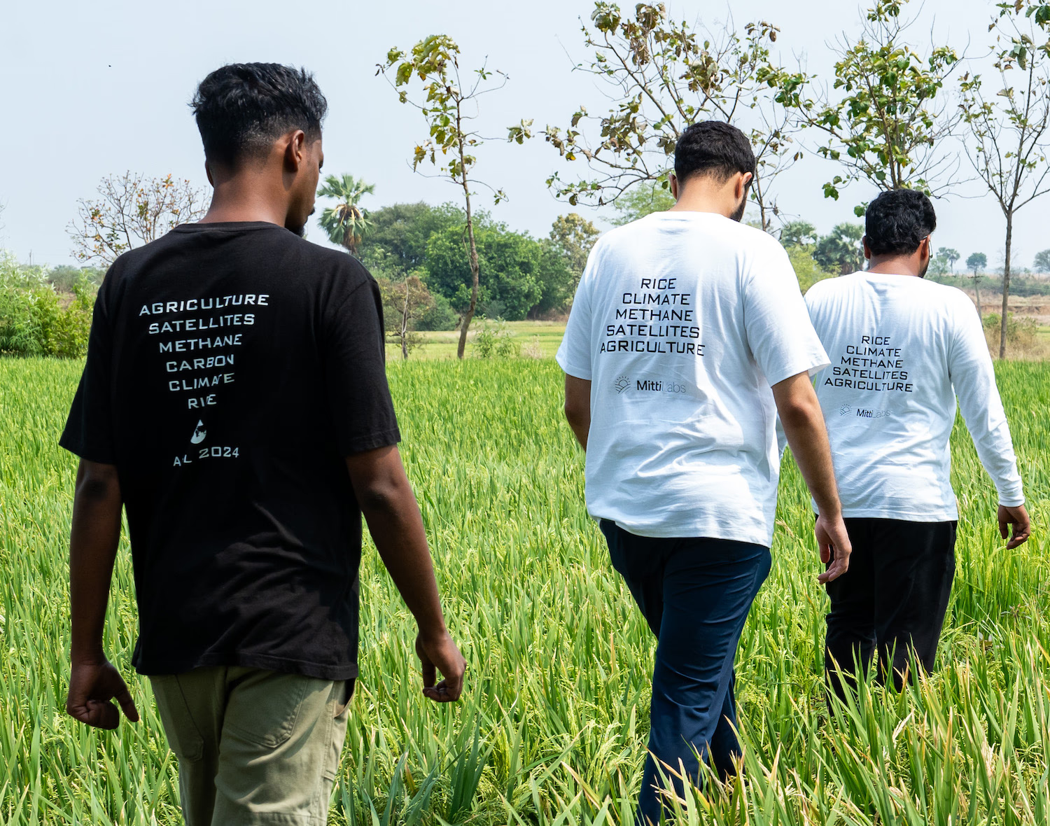 Mitti Labs Raises $9.5M for Rice Resilience