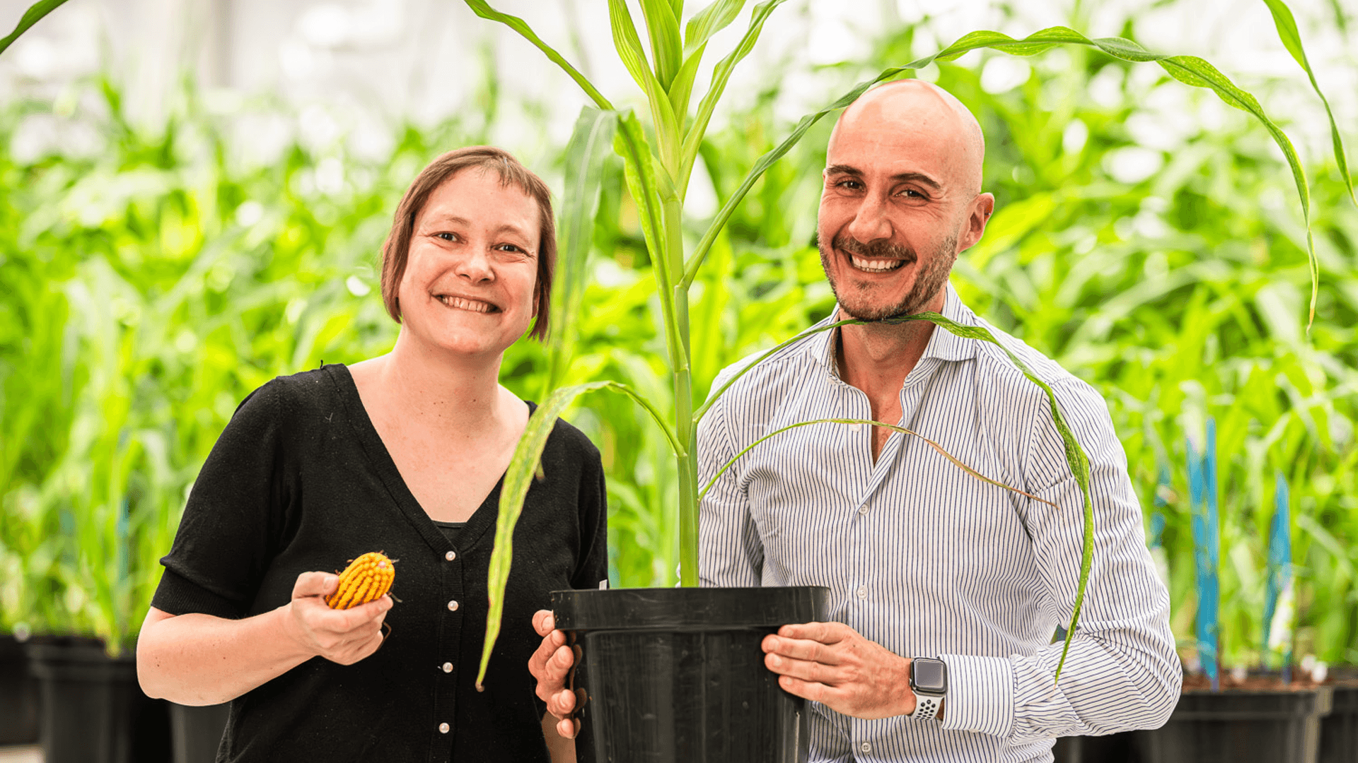 Rainbow Crops’ €9.7M raise brings AI deeper into crop engineering