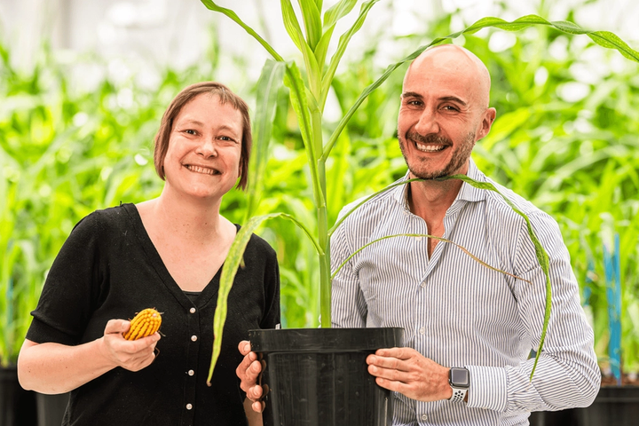 Rainbow Crops’ €9.7M raise brings AI deeper into crop engineering