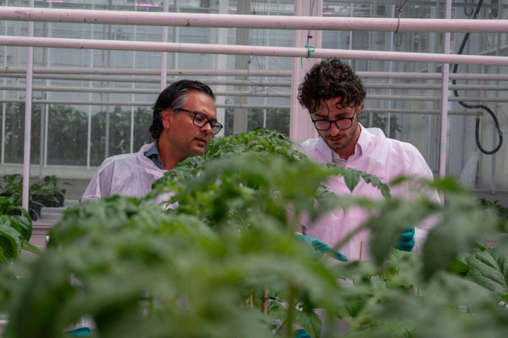 Gravity Gardens Raises €2.6M for Seed Tech