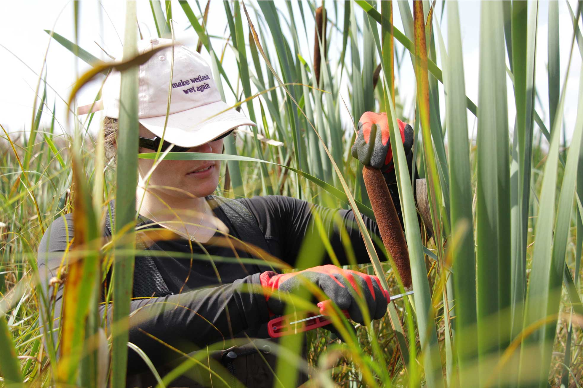 Ponda secures €2.76M for wetland biomaterials