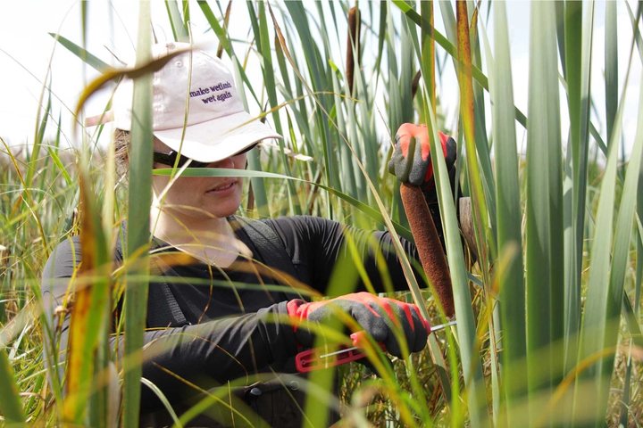 Ponda secures €2.76M for wetland biomaterials