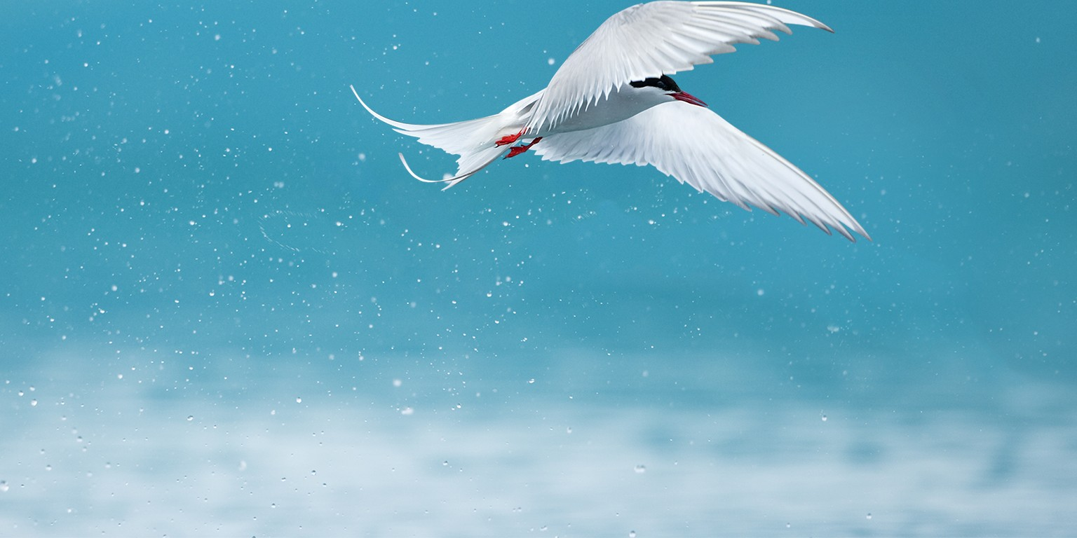 ArcTern Targets $400M Climate Fund