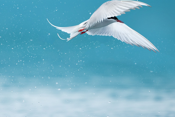 ArcTern Targets $400M Climate Fund