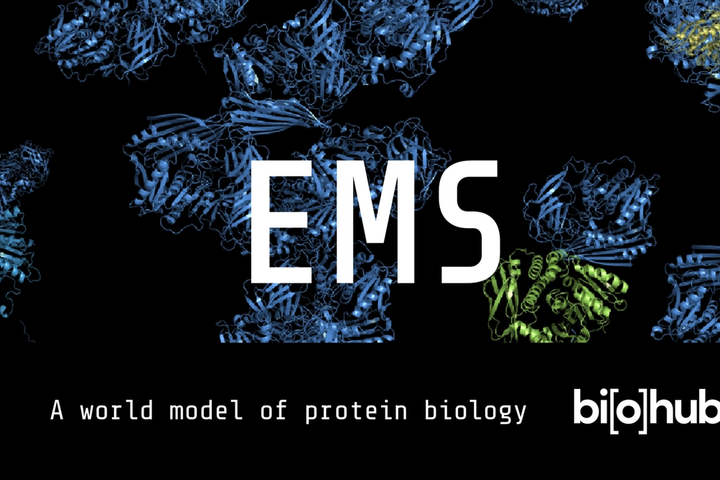 Biohub and the Dream of a Virtual Cell