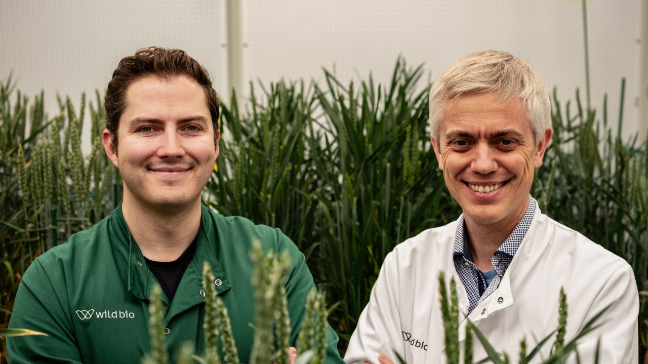 Wild Bio Buys the Missing Link in Its Crop Platform