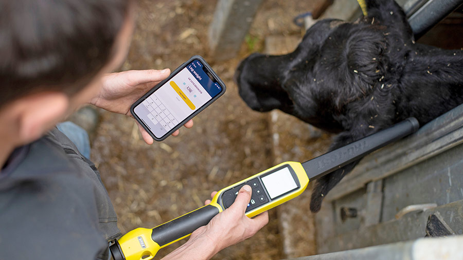 Breedr Raises €23M for Livestock Data